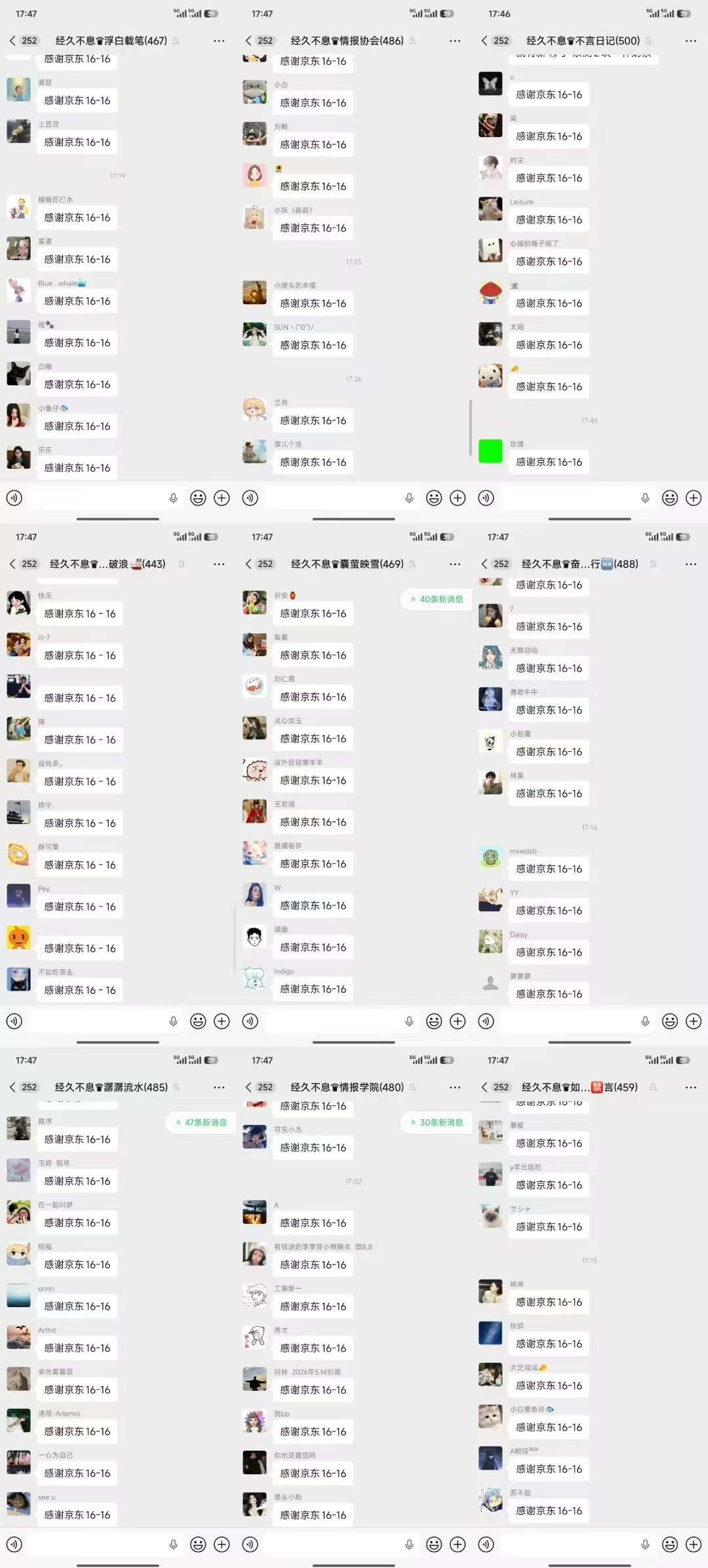 展示图片3